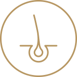 01-expert-icon