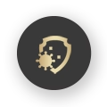 01-home-icon