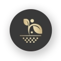 02-home-icon