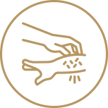 08-expert-icon