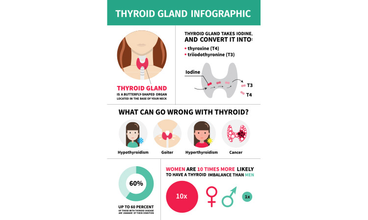 What are the common thyroid disorders