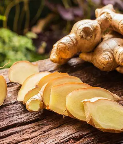 BENEFITS OF GINGER