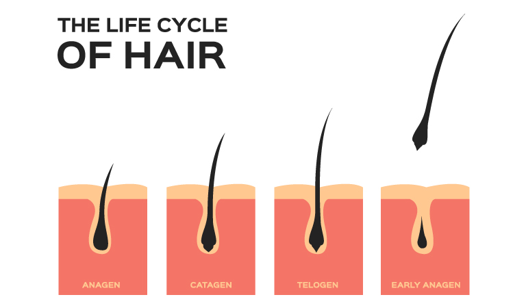 How to prevent hair fall with these 5 effective steps?