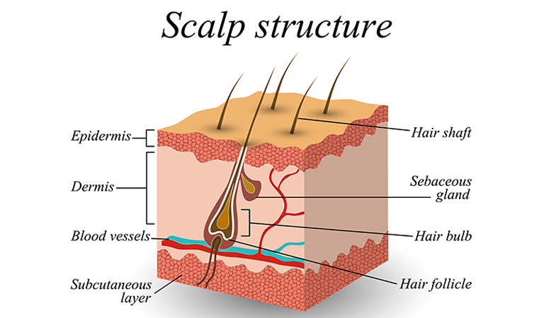 10 reasons your scalp itches and how to get relief